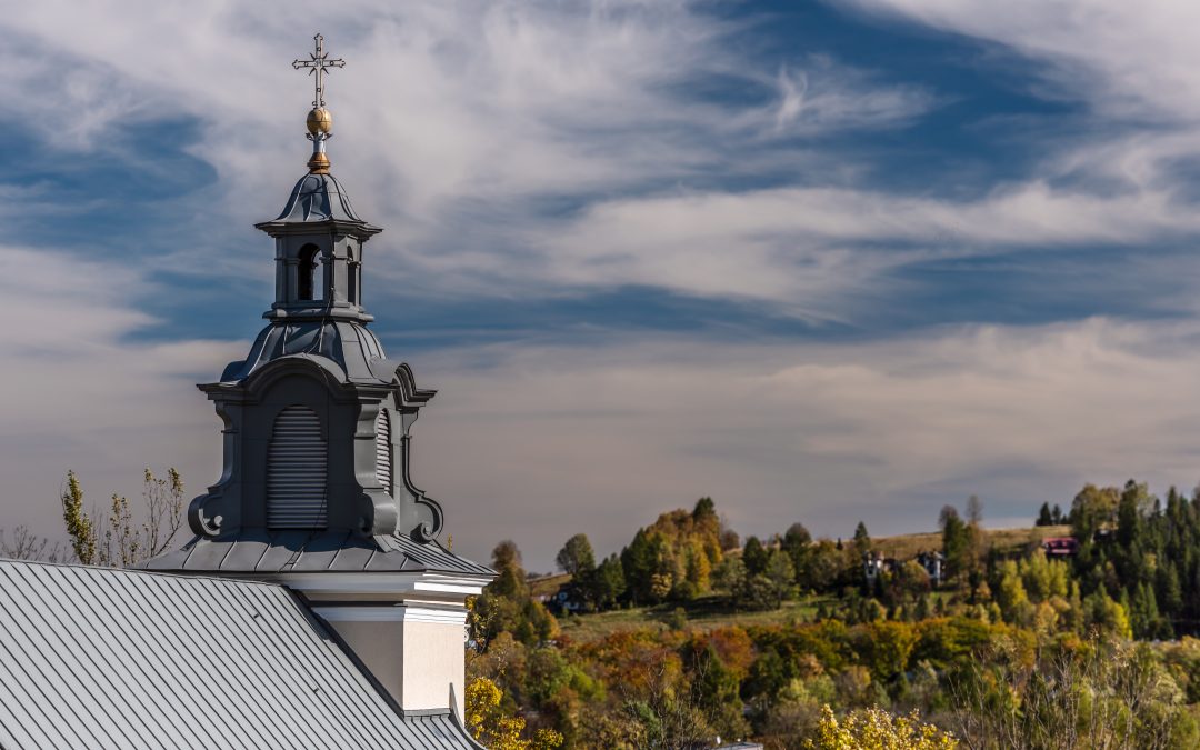 Ruchy trzeźwościowe w Kościele [oprac. Sławomir Rusin]