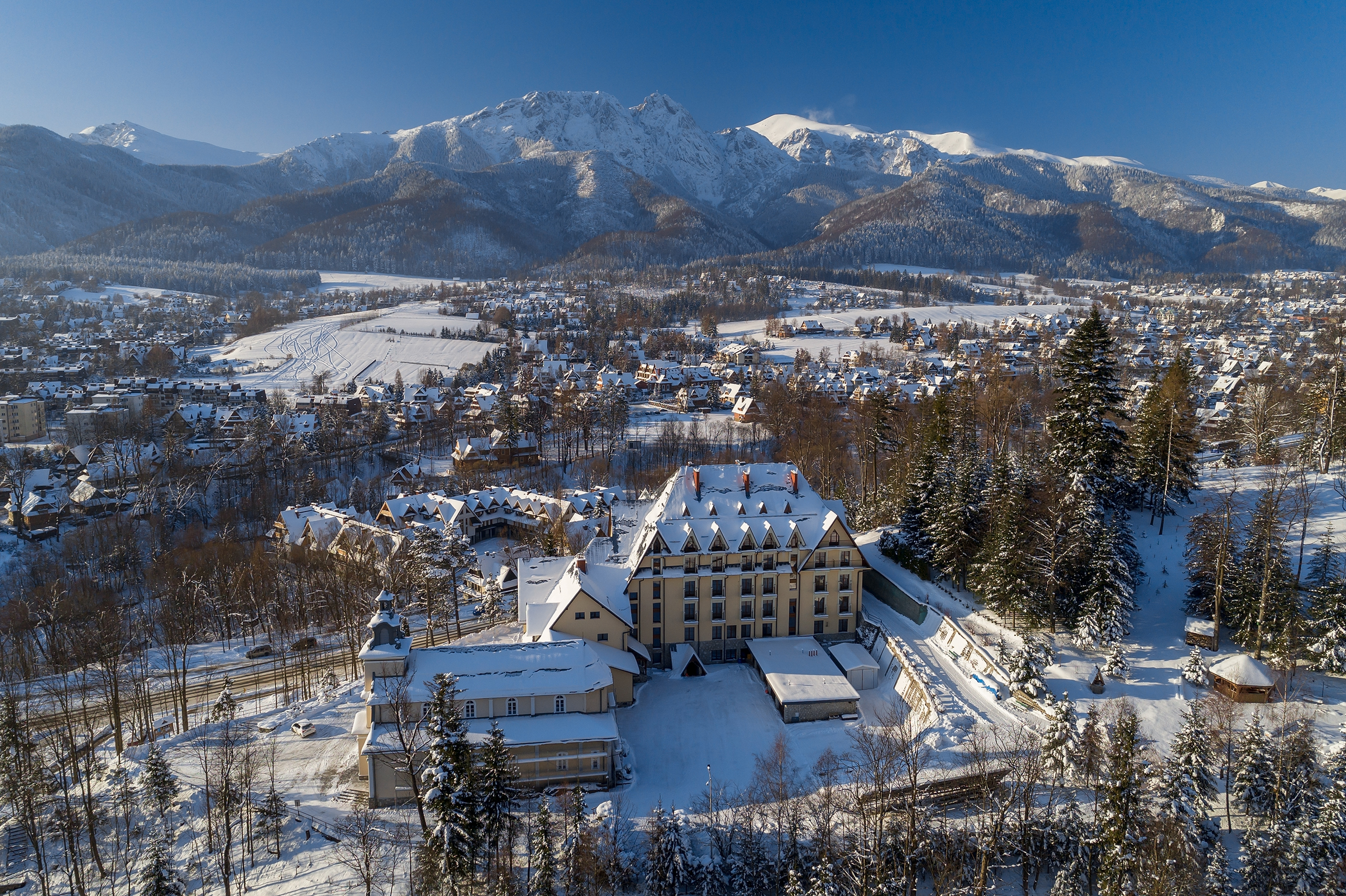 OGŁOSZENIA DUSZPASTERSKIE – XXXIV NIEDZIELA ZWYKŁA UROCZYSTOŚĆ JEZUSA CHRYSTUSA KRÓLA WSZECHŚWIATA – 23 listopada 2025