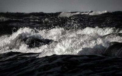 MONOCHROM – foto/video