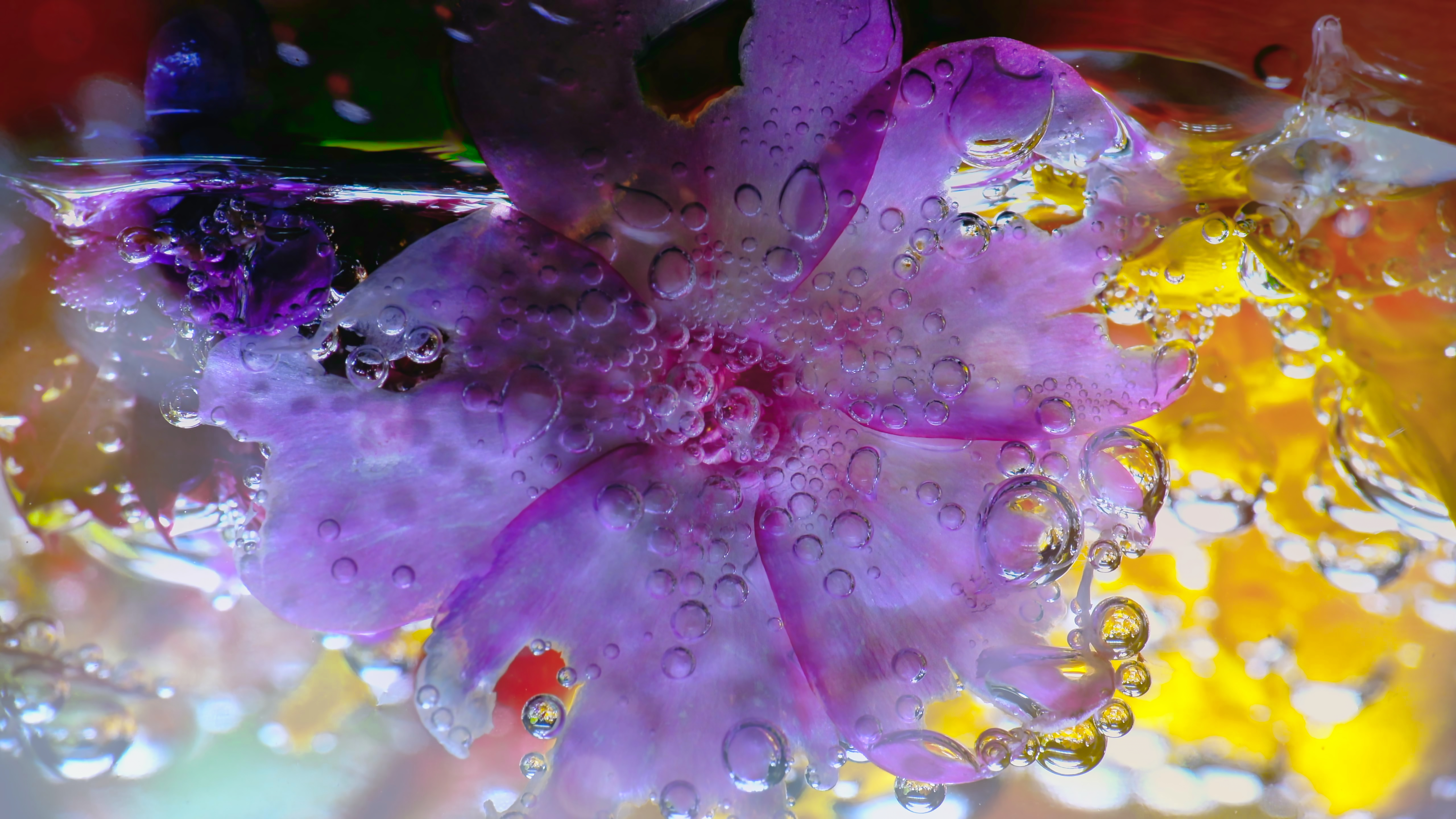 OCEAN ŚWIATŁA – youtube